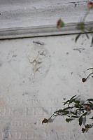IMG 0049