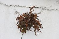 IMG 9999