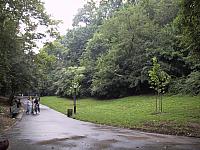 img 1953