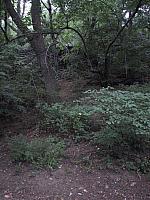 img 1954
