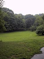 img 1955