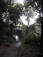 img 1958