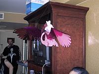 IMG 0043