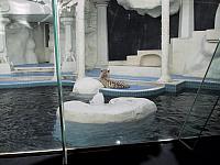 IMG 0077