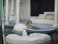 IMG 0078