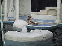 IMG 0079