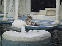 IMG 0080