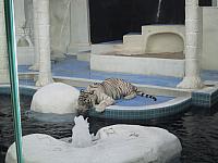 IMG 0085