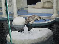 IMG 0086