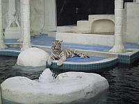 IMG 0088