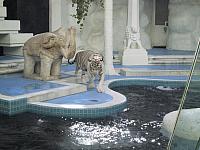 IMG 0090