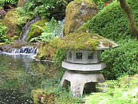 IMG 3102 001