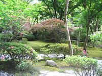 IMG 3103 001