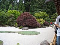 IMG 3109