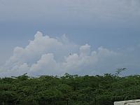 IMG 2741