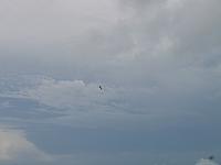 IMG 2771
