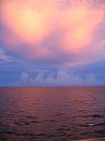 IMG 2819