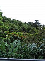 IMG 2823