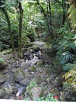 IMG 2825