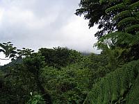 IMG 2828