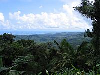 IMG 2830