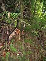 IMG 2841