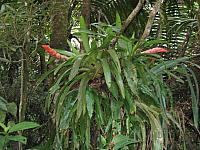 IMG 2843