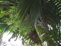 IMG 2844