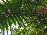 IMG 2845