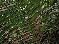IMG 2846