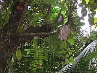IMG 2847