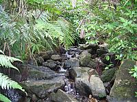 IMG 2853