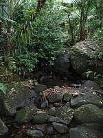 IMG 2855