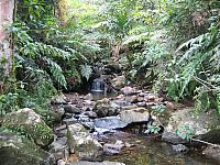 IMG 2858