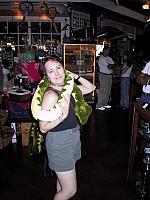 pic003