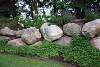 IMG 2376