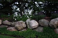 IMG 2377