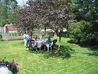 IMG 2643