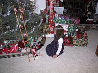 img 1262