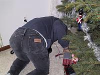 img 1309