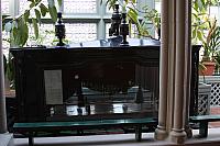 IMG 5545