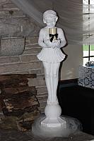 IMG 5565