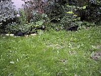 pic010