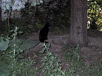 pic012