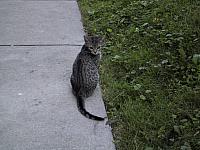 pic019