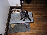 pic023