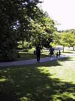 pic004