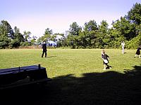 pic016