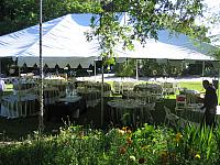 IMG 3981