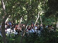 IMG 3986